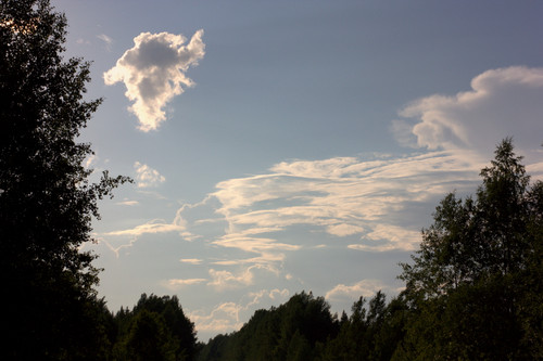 IMG 2046.jpg
