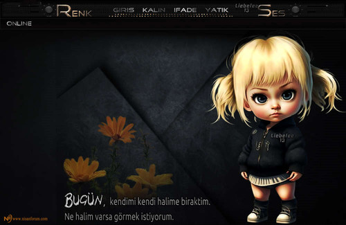 Oyuncak Bebek Radyo Tema 3 liebefee13.jpg