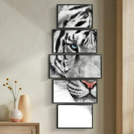 Kit 5 Quadros Decorativos Tigre Branco.jpg