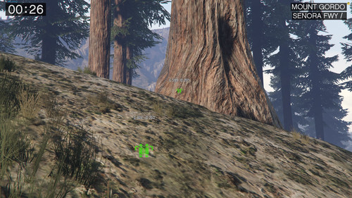FiveM b2802 GTAProcess rgmIKpTB0D.jpg