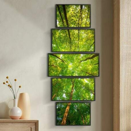 Kit 5 Quadros Decorativos Arvores Floresta.jpg