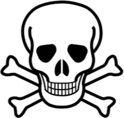 skull 256x256.png