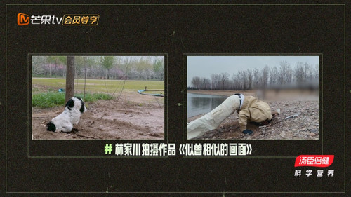 mgtv cut 20240629160521165.jpg