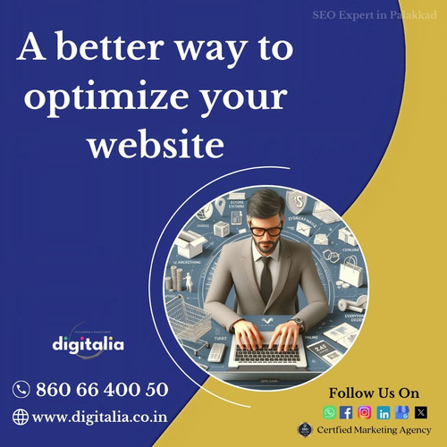 SEO Expert in Palakkad4.1