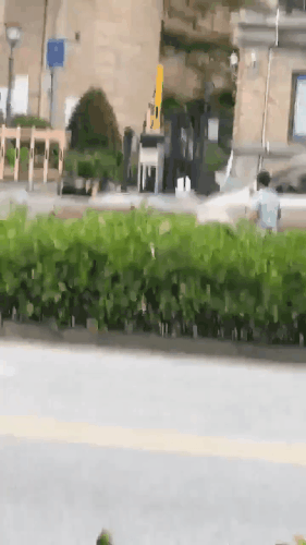 GIF 240629 155824.gif