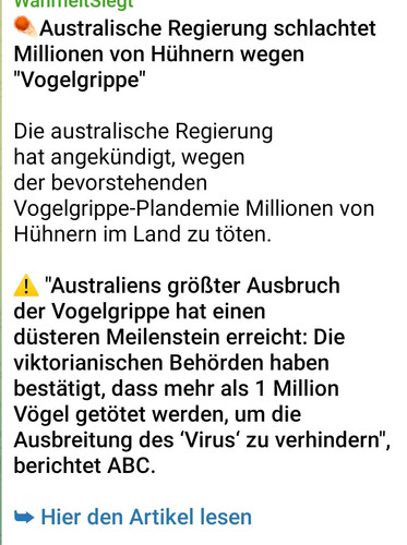 Screenshot 2024 06 29 12 26 55 401 org.telegram.messenger.web(1).jpg
