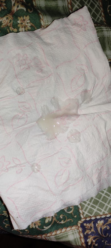 IMG 20240626 044625.jpg