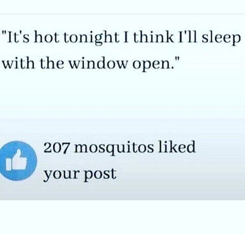 funny meme about mosquitoes in the summer.jpg