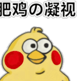 8458ca49dda77c1a43dab471d4aae31b.gif