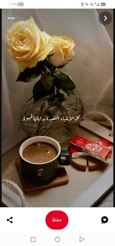 Screenshot 20240701 101820 com.pinterest.jpg