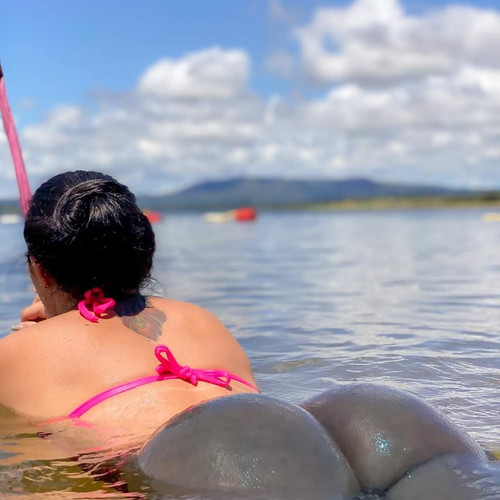 28291337be025e8743a60bcb5e7dbd24bc58560b