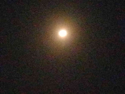 JPEG 20240701 232621 3857511542297197070.jpg