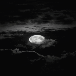f7a2c7b31ed5bbc15df631a32854b40d.gif