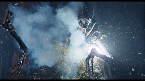 vlcsnap 2024 06 29 09h34m01s816.jpg