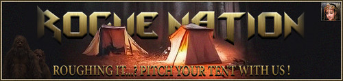 Camping Banner.jpg