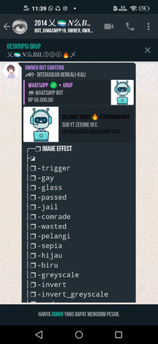 undefined.jpg