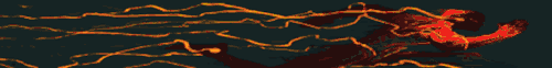 1000005559.gif