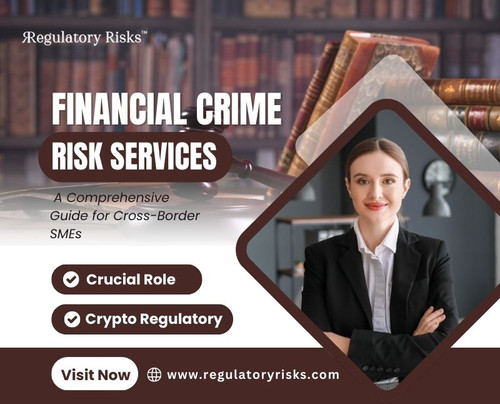 Financial Crime Risk Services in 2024 for Cross-Border SMEs.jpg