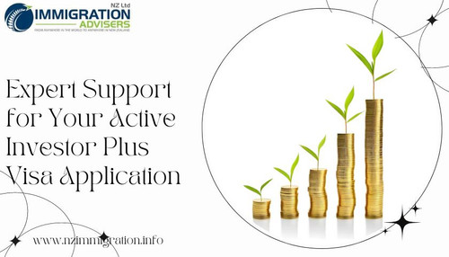 Expert Support for Your Active Investor Plus Visa Application.jpg