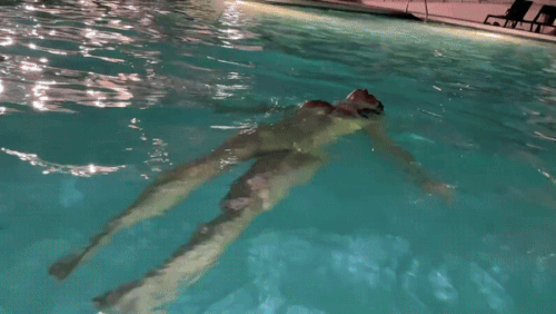 例の練習動画.gif