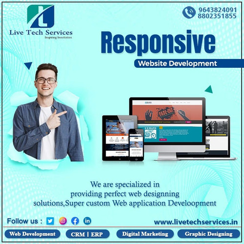 Responsive Website Development LTS.jpg