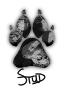 1000006000.png
