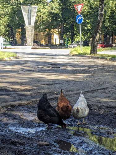 PXL 20240815 130220241.MV DxO