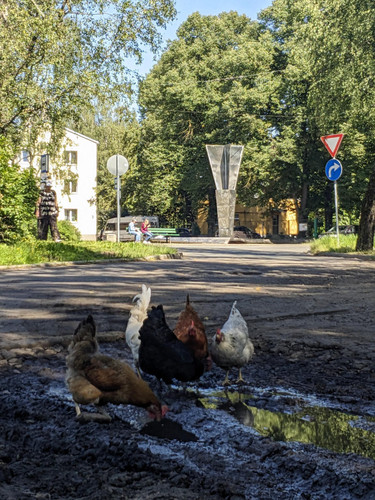 PXL 20240815 130239787.MV DxO