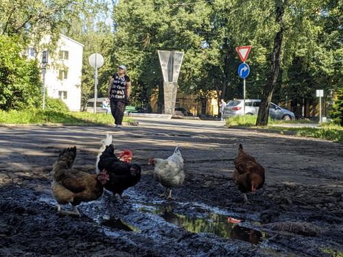 PXL 20240815 130253217.MV DxO