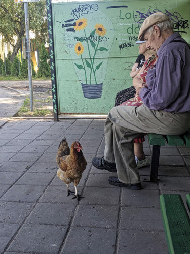 PXL 20240815 130634347.MV DxO