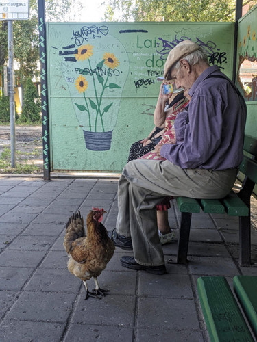 PXL 20240815 130642534.MV DxO