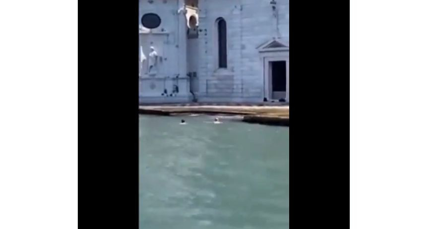 Turisti banno il Bagno al Cimitero di San Michele: Multa e Espulsione da Venezia