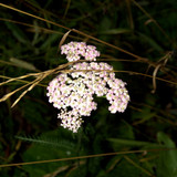 DSC 0047