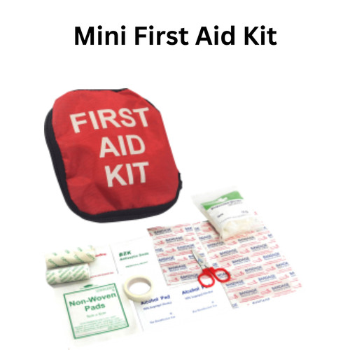 Mini First Aid Kit.jpg