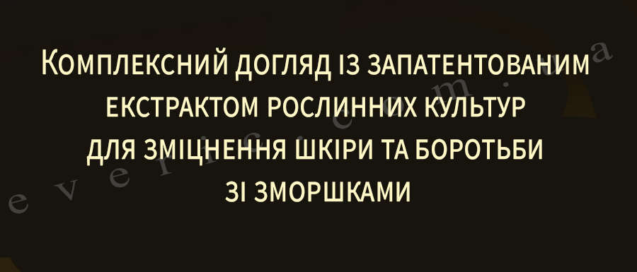 01 копия
