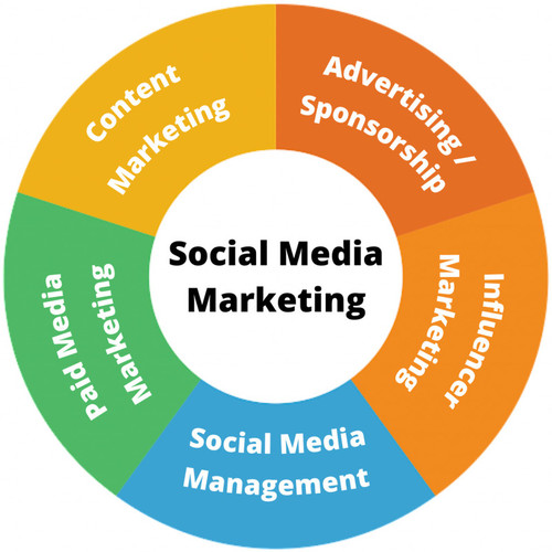 Social Media Marketing Agency in Noida.jpg