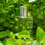 H24 Herbes Vives