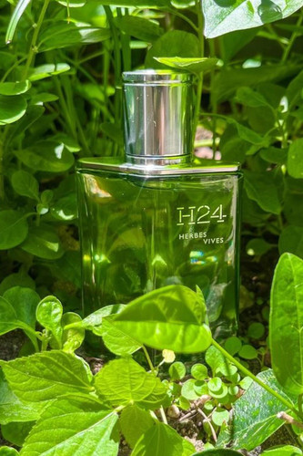 H24 Herbes Vives EdP My scent of the day Dare I….jpg