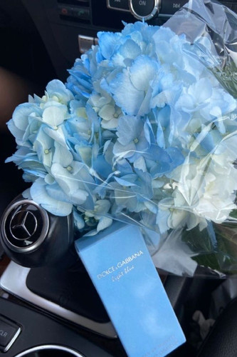 Light Blue Aesthetic.jpg