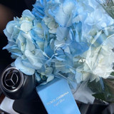 Light Blue Aesthetic
