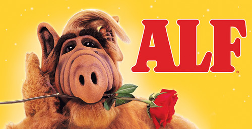 6fadc1e5ad0284ef652db0b0d8aa868bbacfd7efd8b7d5a2a620e237a41ccd51 (1).jpg