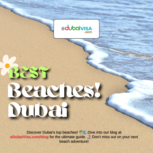 Explore Dubai's Spectacular Beaches.png