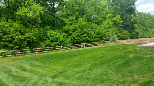 75853cf7 2e31 41fc 9e75 0fe135d1861f 1 all 6556.jpg