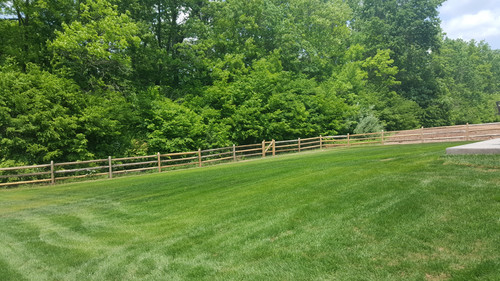 75853cf7 2e31 41fc 9e75 0fe135d1861f 1 all 6559.jpg