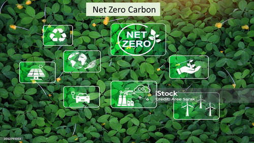 20.6.24 nzcarbon.jpg