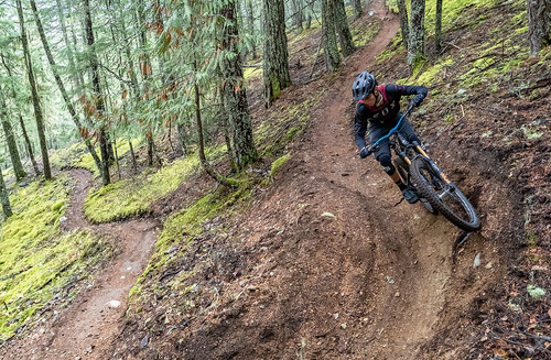 Mountain Bike Coaching Squamish.jpg