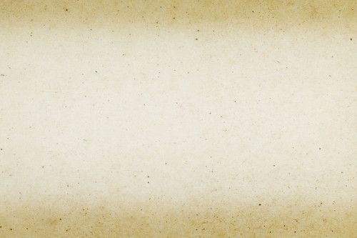 beige mulberry textured paper background(1).jpg