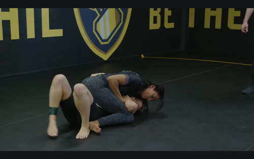 leginS JIUJitsu713