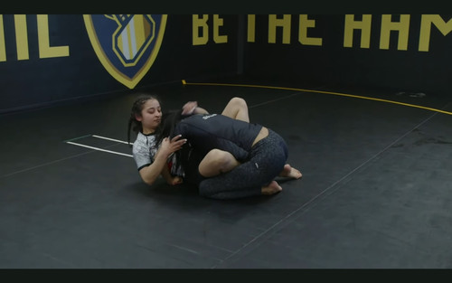 leginS JIUJitsu713A