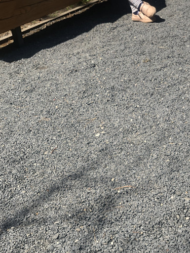 IMG 3230.jpg